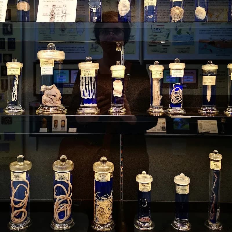 View of Meguro Parasitological Museum in Meguro, Tokyo