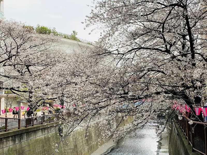 Meguro River Cycling Path outdoor adventure in Setagaya, Tokyo