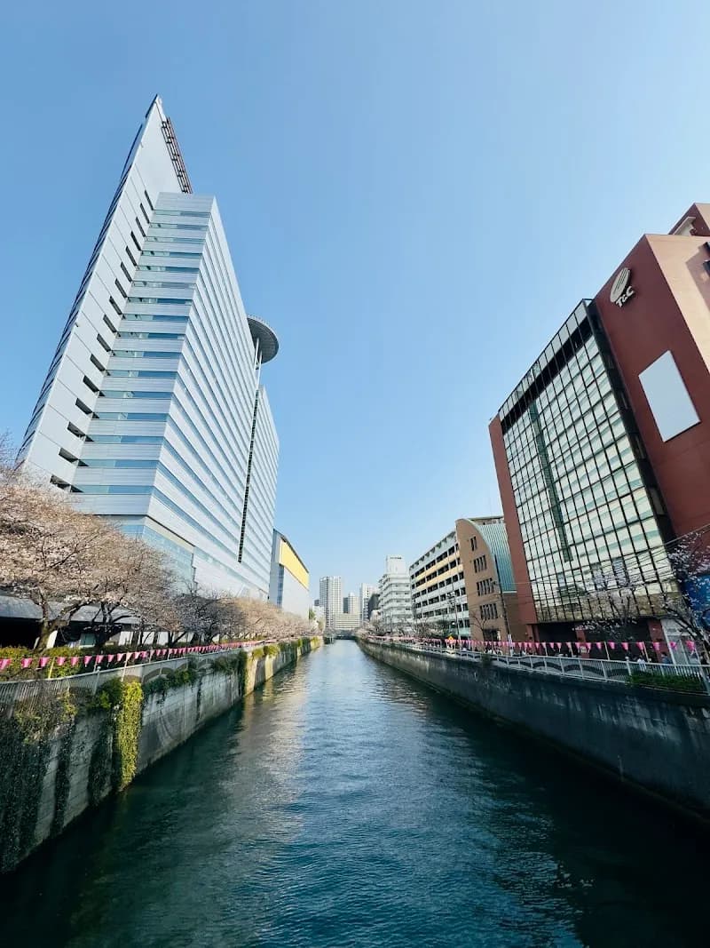 View of Meguro River in Meguro, Tokyo