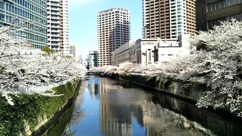 View of Meguro River in Meguro, Tokyo