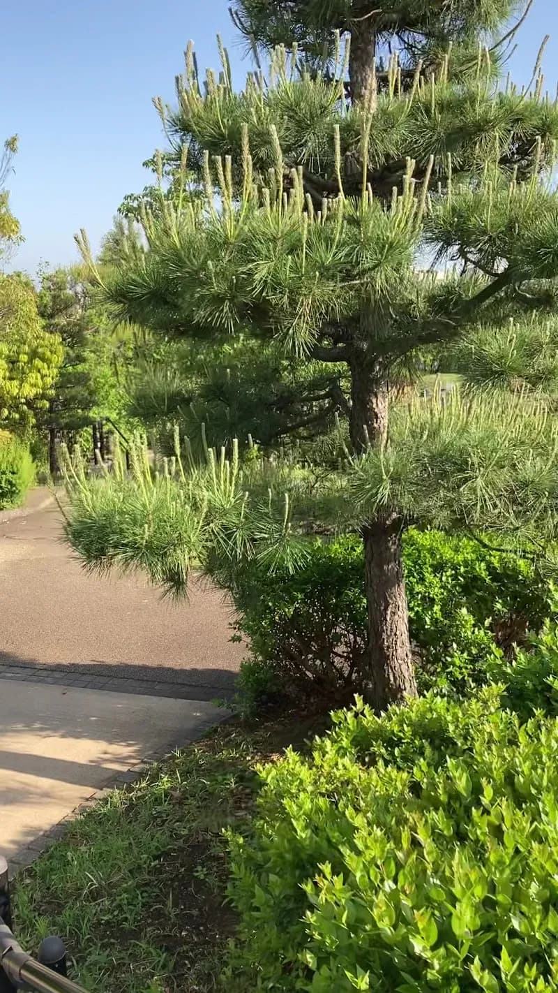 View of Meguro Sky Garden in Meguro, Tokyo