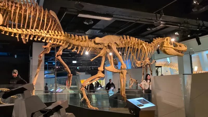 View of Melbourne Museum in Melbourne, VIC