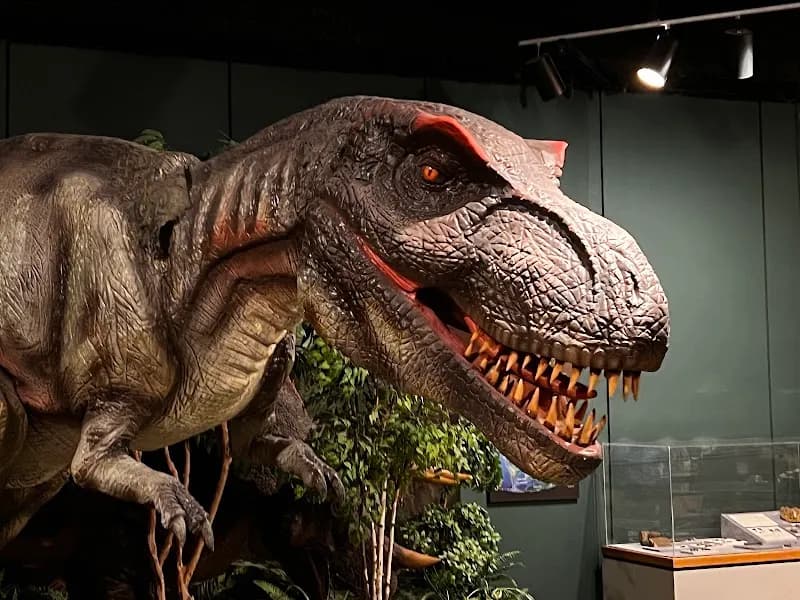 View of Memphis Museum of Science & History in Memphis, TN