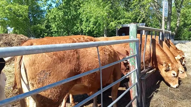 View of Mendler Milchhof Landwirtschaftliche Betriebe in Berlin, BE