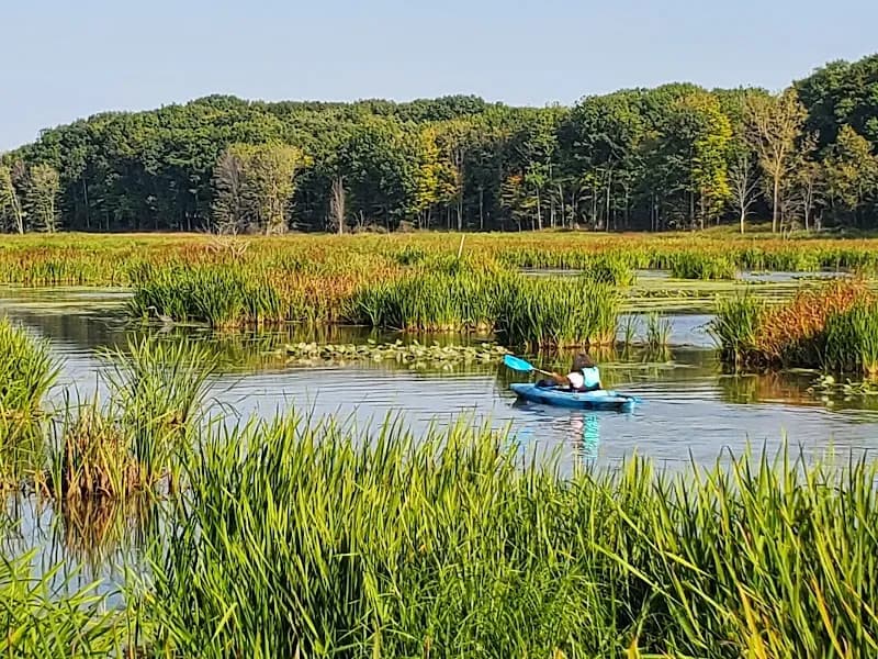 Mentor Lagoons Nature Preserve & Marina marina in Mentor, OH
