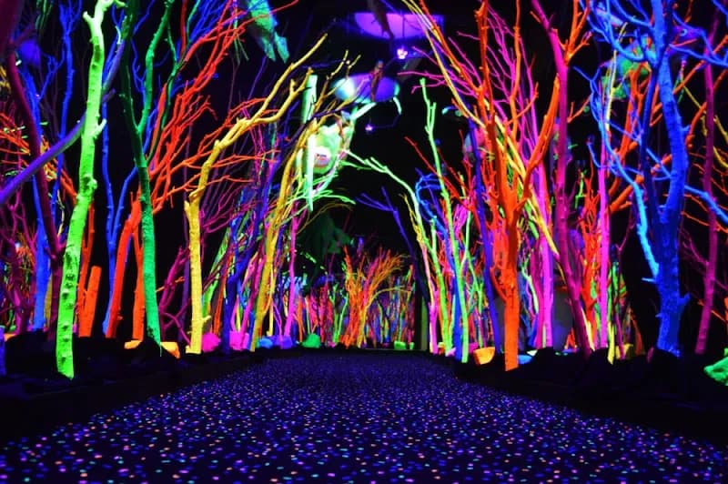 View of Meow Wolf Santa Fe's House of Eternal Return in Santa Fe, NM