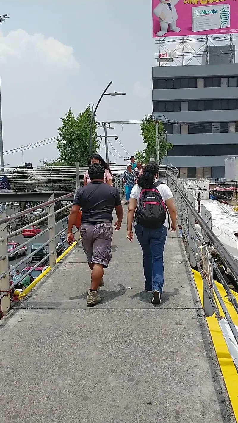 View of Mercado Sonora in Mexico City, CDMX