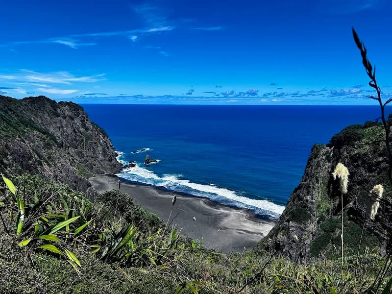 Mercer Bay Loop Walk hiking area in Piha, AKL