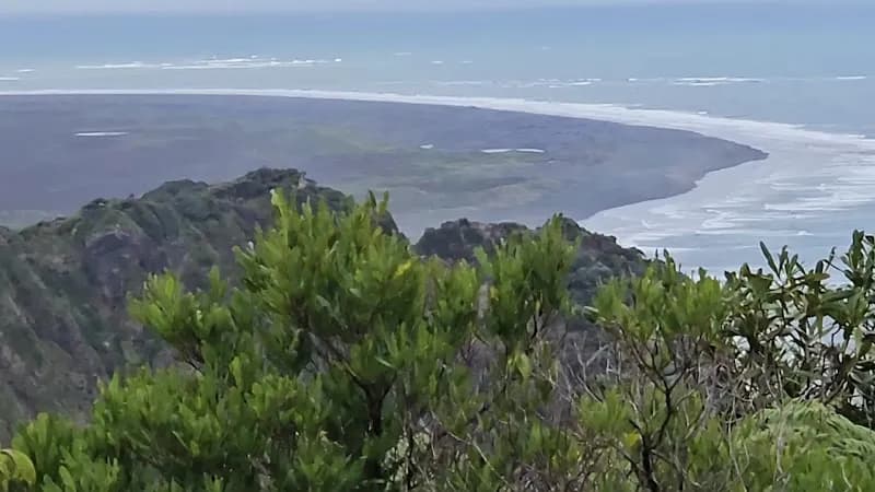 View of Mercer Bay Loop Walk in Piha, AKL