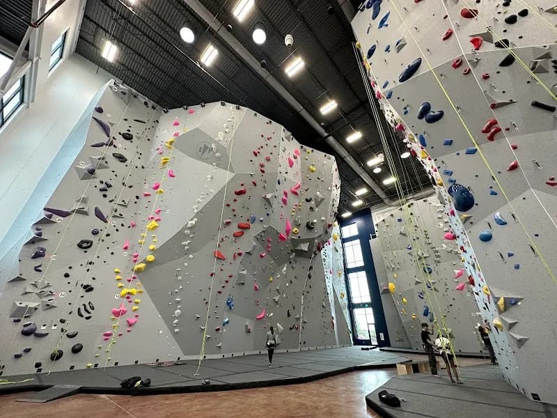 Mesa Rim Climbing Center sports activity location in Austin, TX
