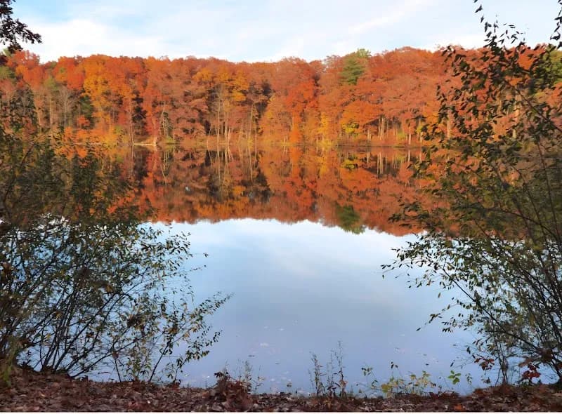 View of Metamora-Hadley Recreation Area in Lake Orion, MI