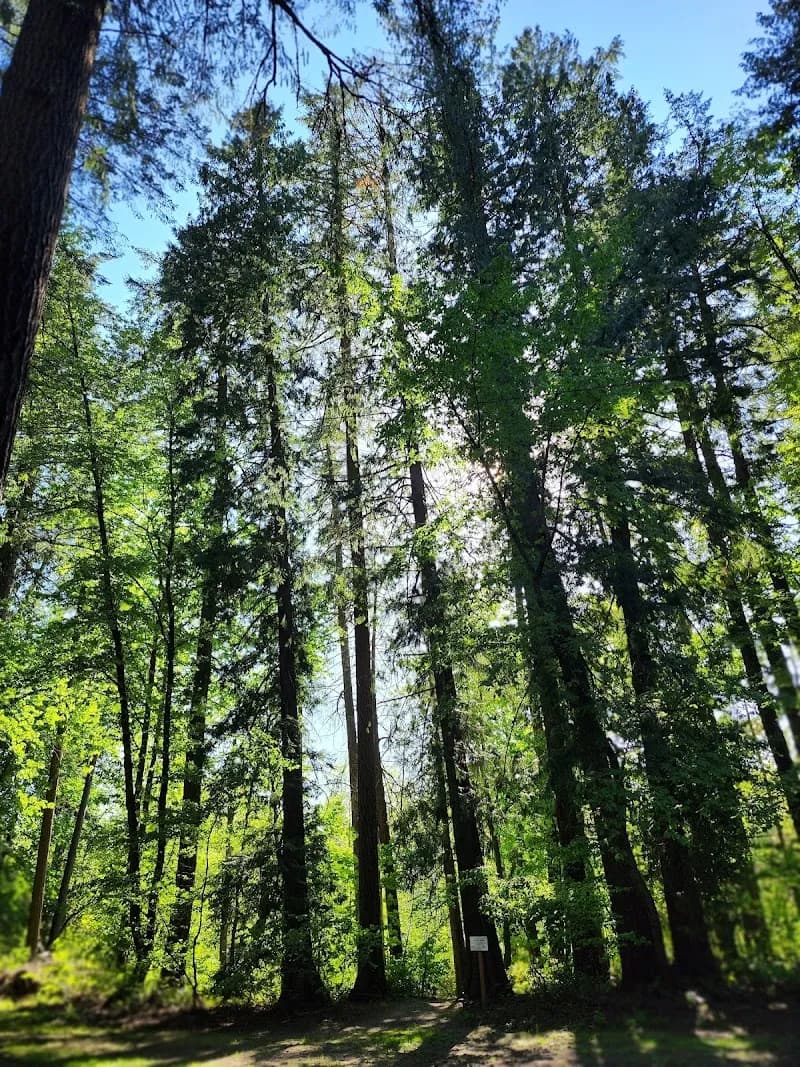 View of Metzger Park in Tigard, OR