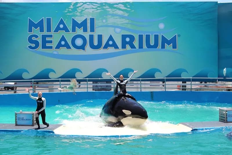 Miami Seaquarium aquarium in Miami, FL