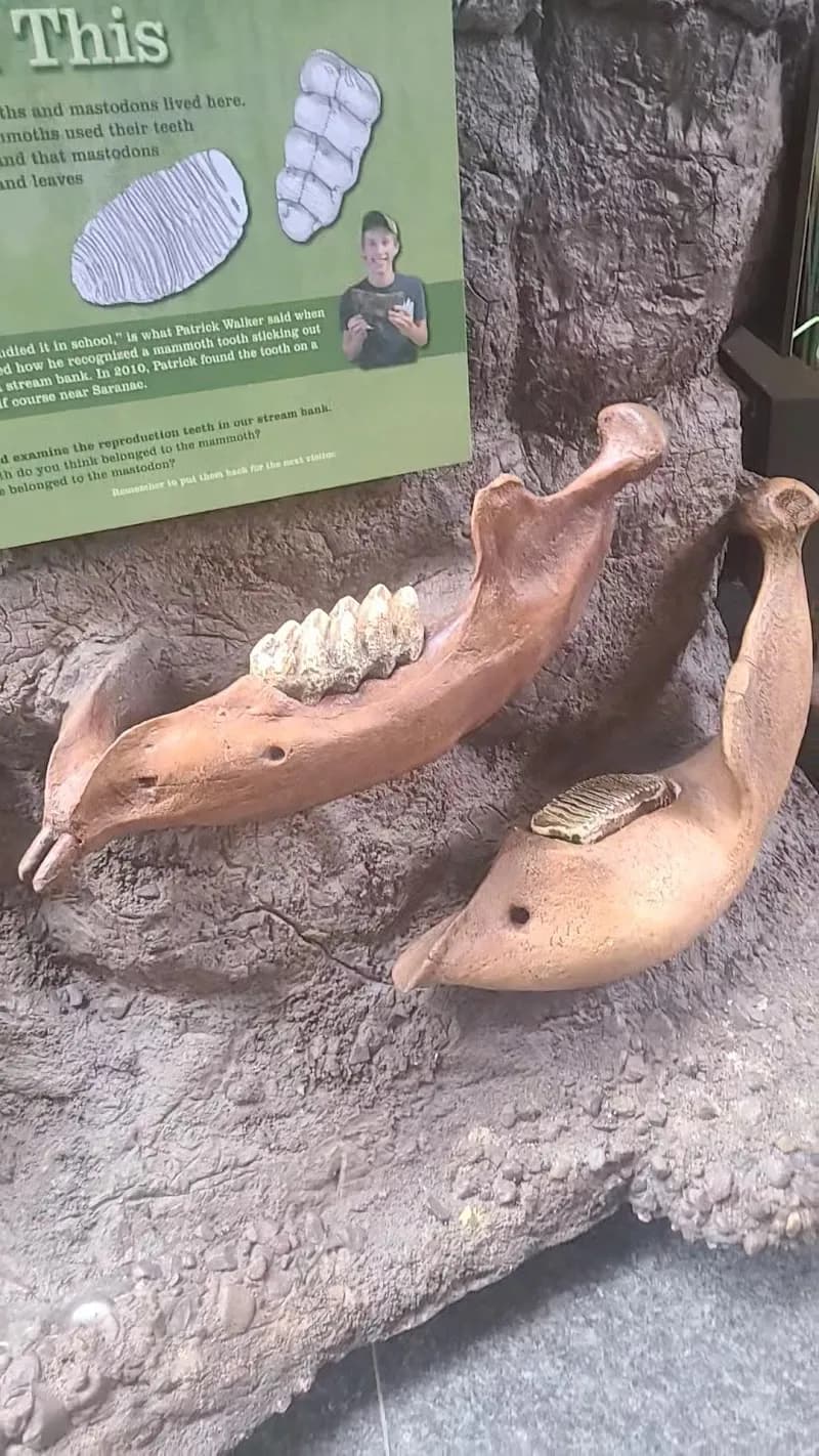 View of Michigan History Center in Lansing, MI