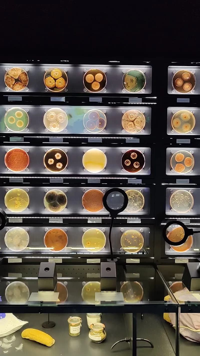 View of Micropia in Amsterdam, NH