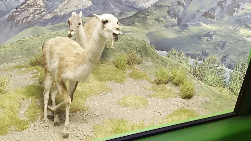 View of Milan Natural History Museum in Milan, LM