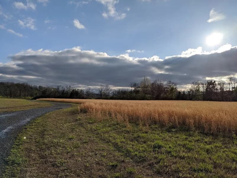 Mill Creek Park & Greenway hiking area in Nolensville, TN