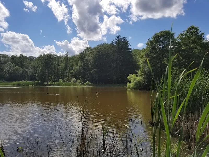 View of Mill Stream Run Reservation in Strongsville, OH