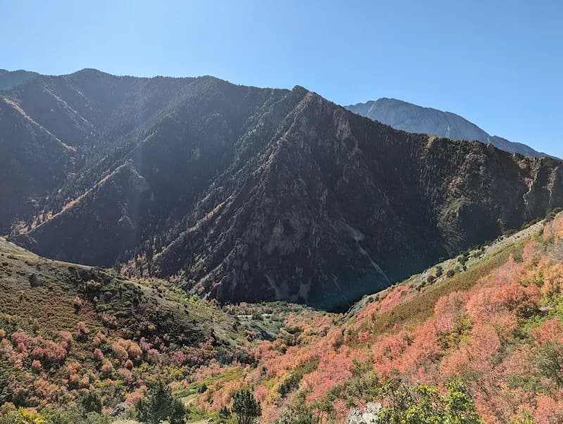 View of Millcreek Canyon in Millcreek, UT