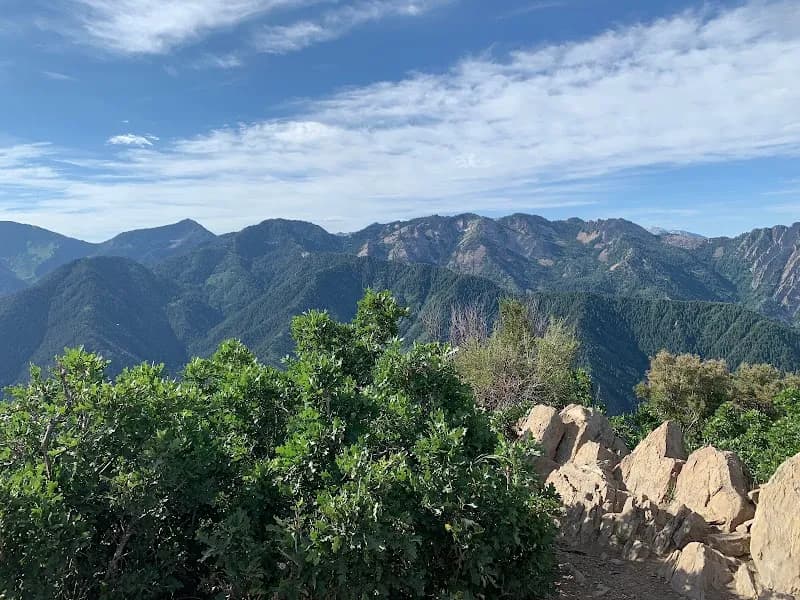 View of Millcreek Canyon in Millcreek, UT