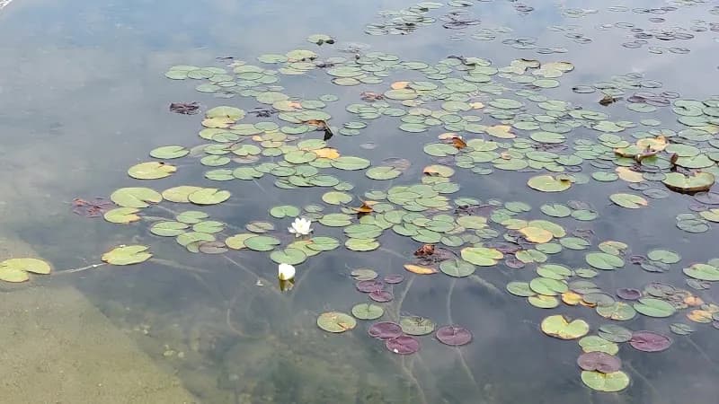 View of Millenáris Park in Zugló, Budapest
