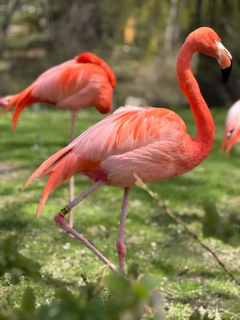 View of Milwaukee County Zoo in Milwaukee, WI