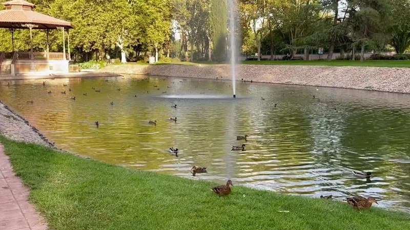 View of Minas Park in Pozuelo de Alarcón, Madrid