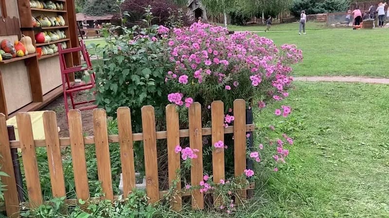 View of Minifarm in Gödöllő, Budapest