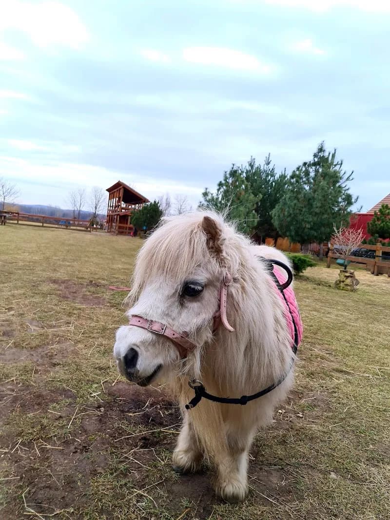 View of Minifarm in Gödöllő, Budapest