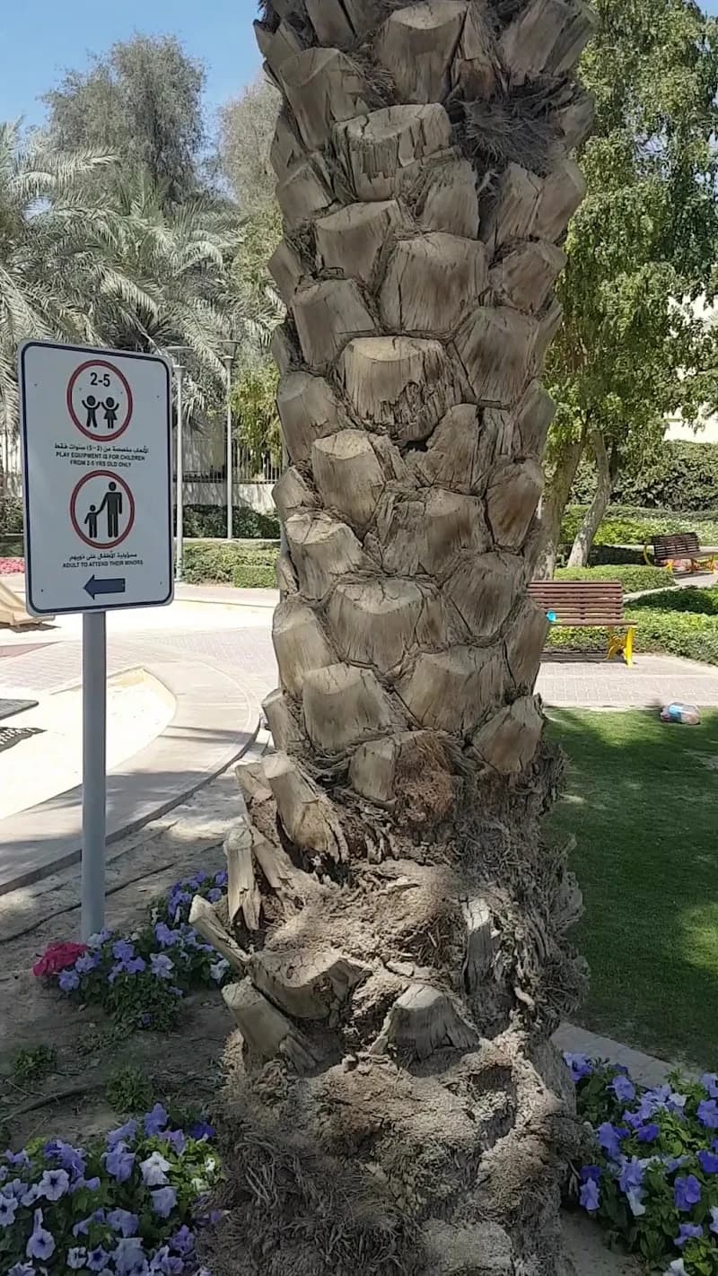 View of Mirdif Park in Mirdif, Dubai