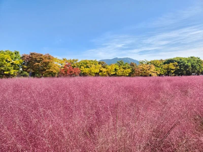 Misari Hangang Park park in Hanam, GG