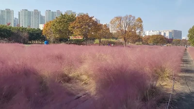 View of Misari Hangang Park in Hanam, GG