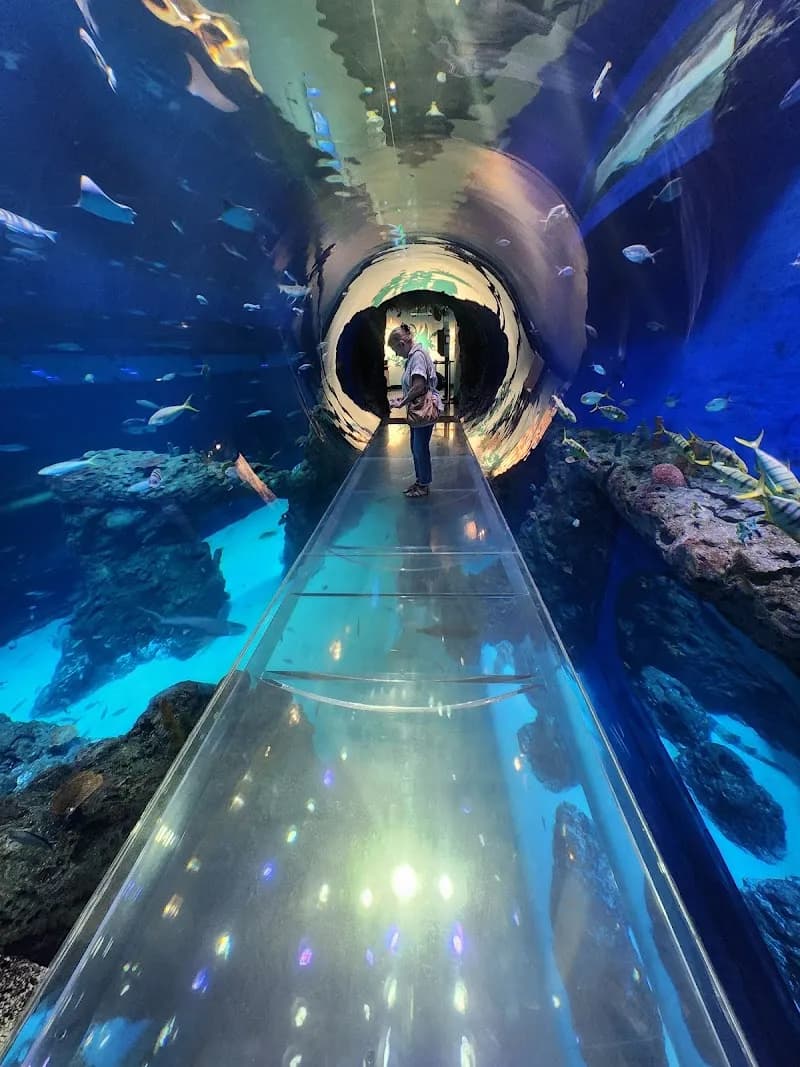 View of Mississippi Aquarium in Hattiesburg, MS