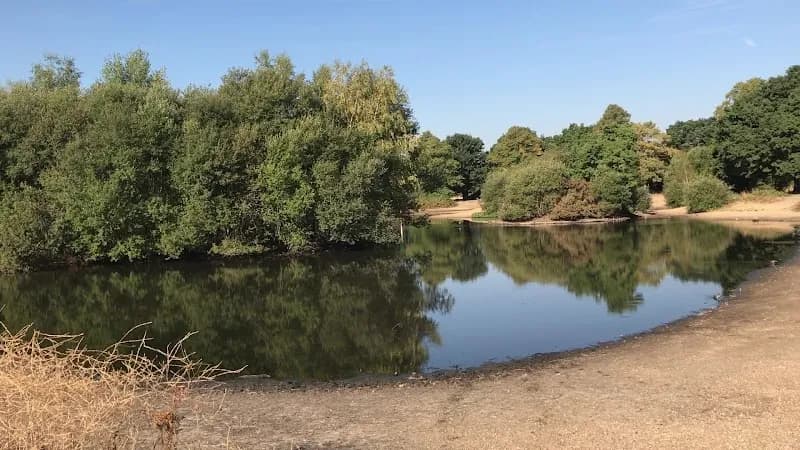View of Mitcham Common in Merton, London