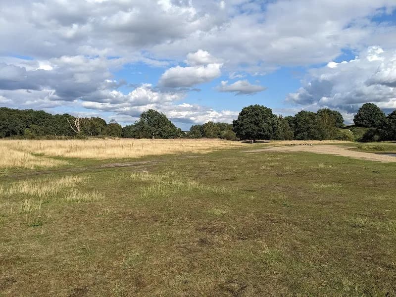 View of Mitcham Common in Merton, London