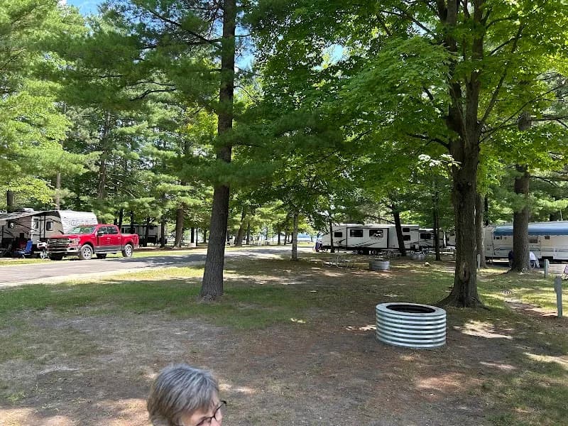 View of Mitchell State Park in Cadillac, MI