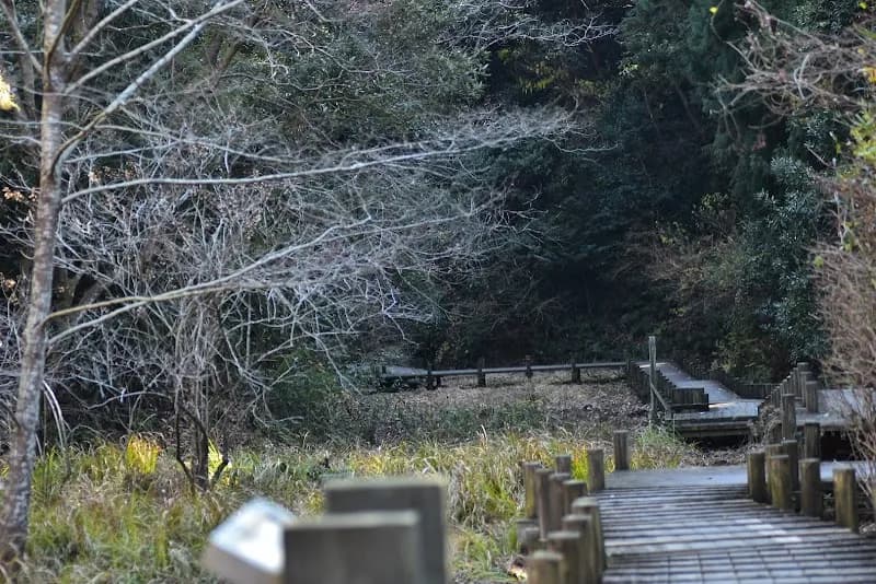 View of Mizuki-no-Mori Nature Trail in Kadoma, Osaka