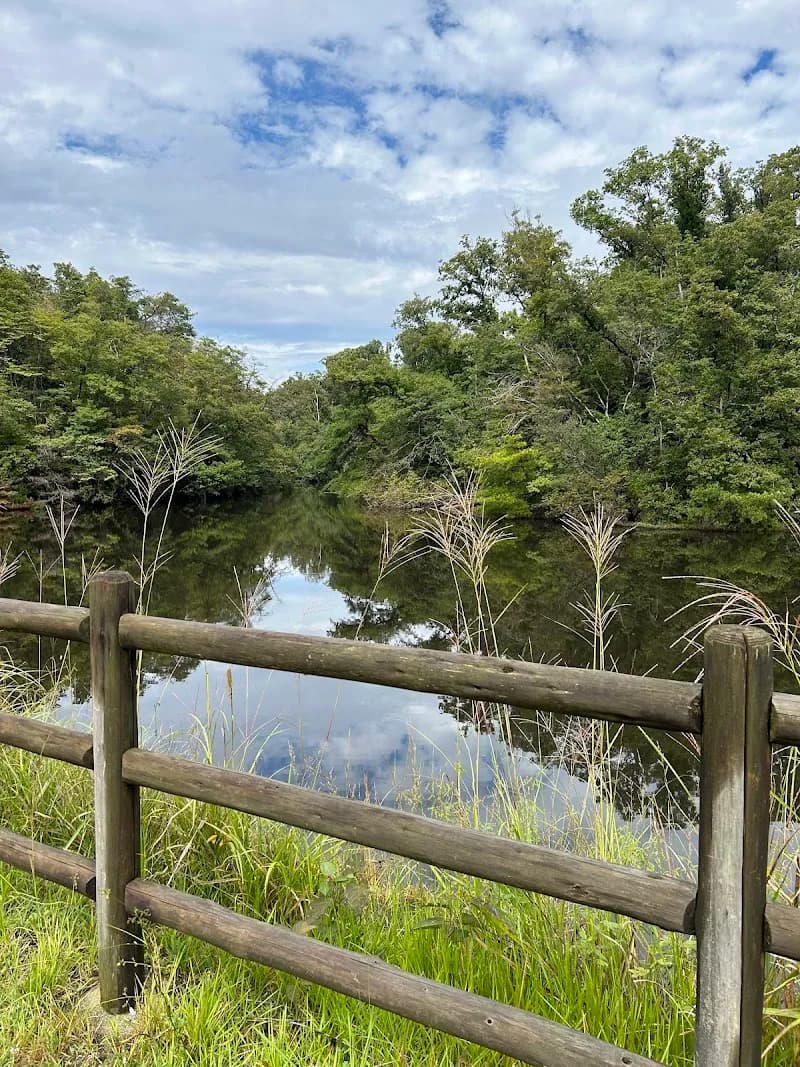View of Mizuki-no-Mori Nature Trail in Kadoma, Osaka