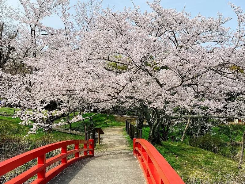 Mizuma Park park in Kaizuka, Osaka