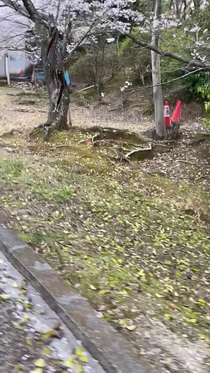 View of Mizuma Park in Kaizuka, Osaka
