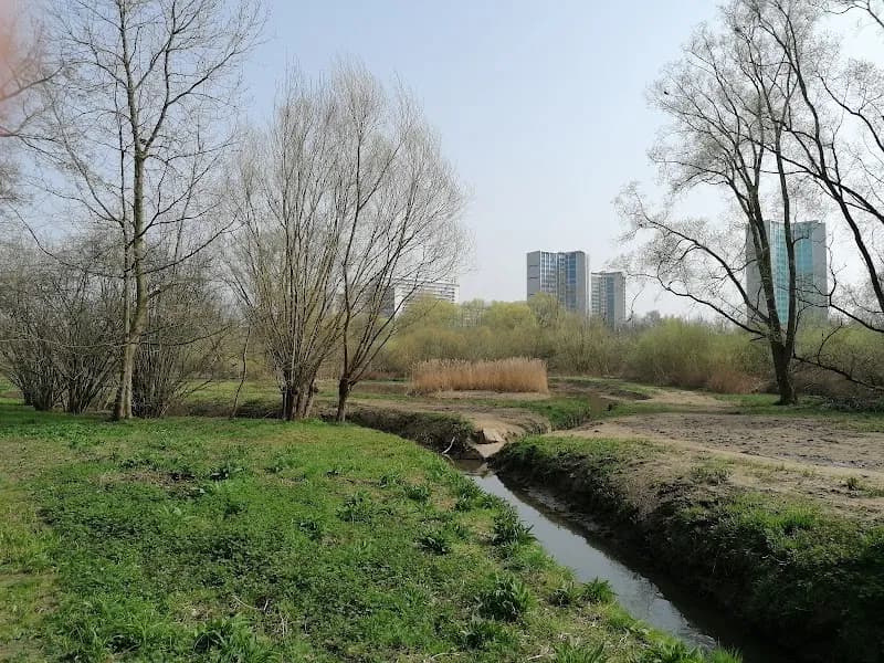 Moeras van Jette-Ganshoren nature preserve in Ganshoren, BRU
