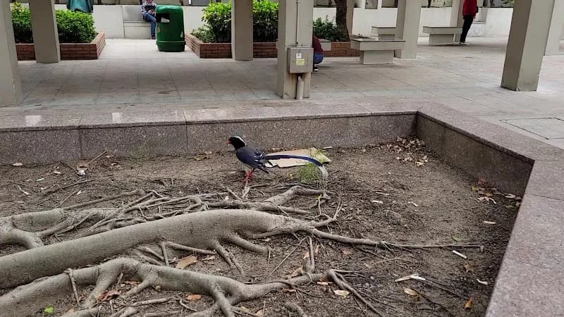 View of Mong Kok Road Playground in Mong Kok, HK
