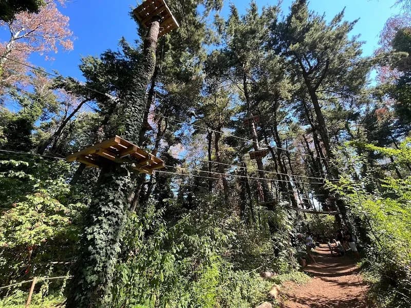 View of Monkey Park Arese - Parco Avventura vicino a Milano in Arese, Lombardy