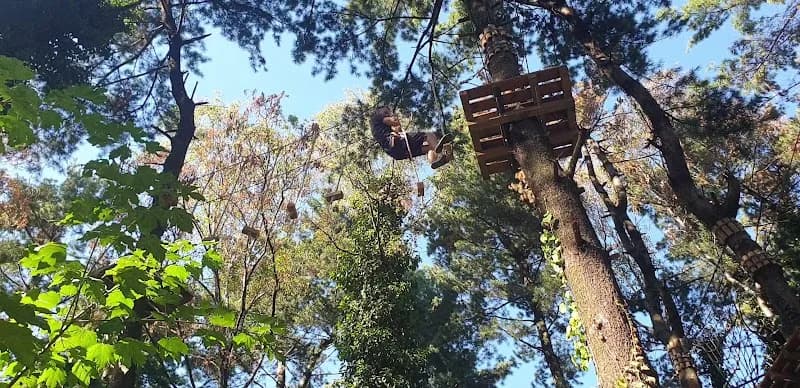 View of Monkey Park Arese - Parco Avventura vicino a Milano in Arese, Lombardy