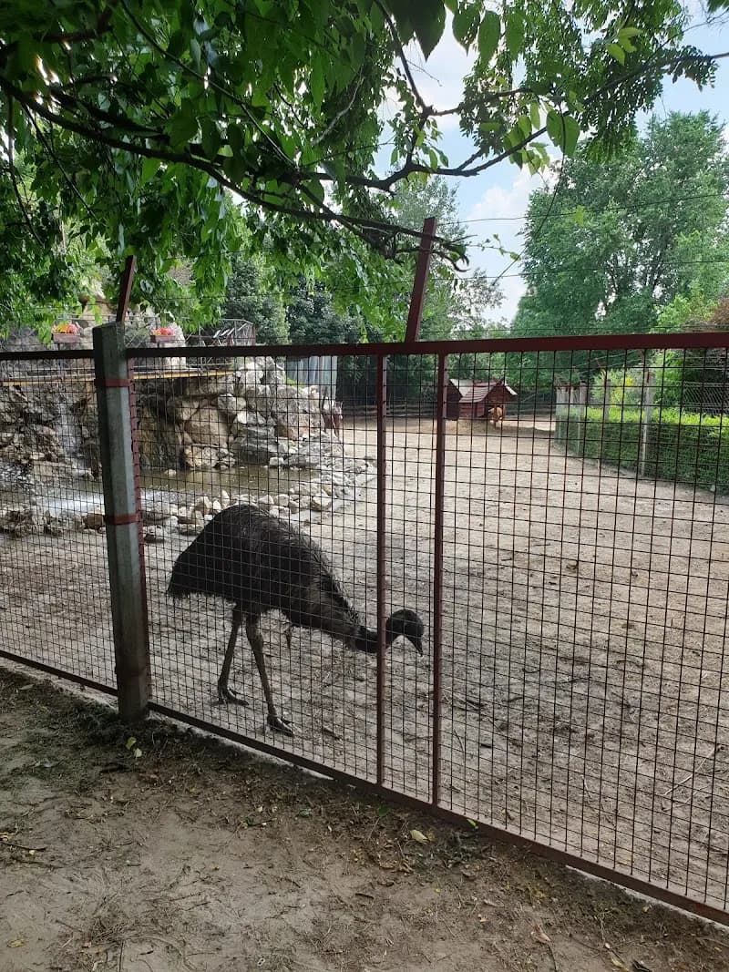 View of Monor Petting Farm Experience in Monor, Budapest