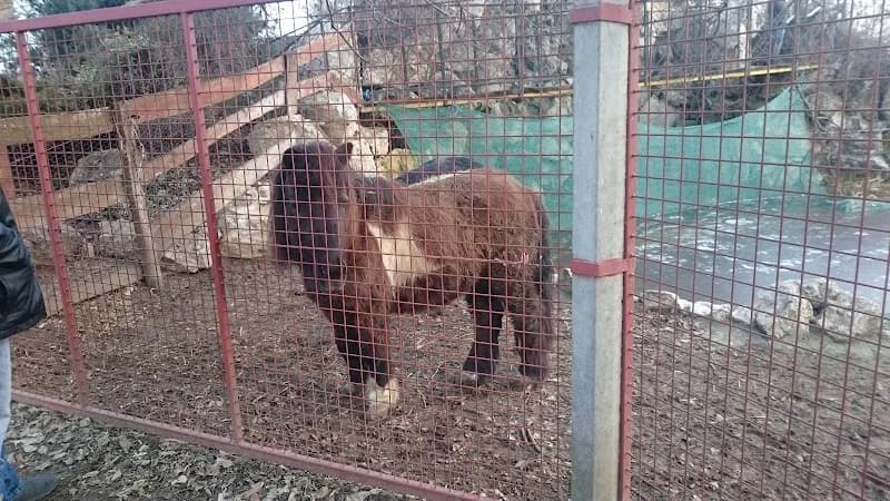 View of Monor Petting Farm Experience in Monor, Budapest