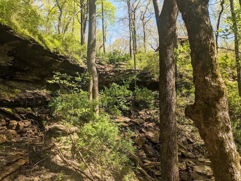 View of Monte Sano State Park in Huntsville, AL