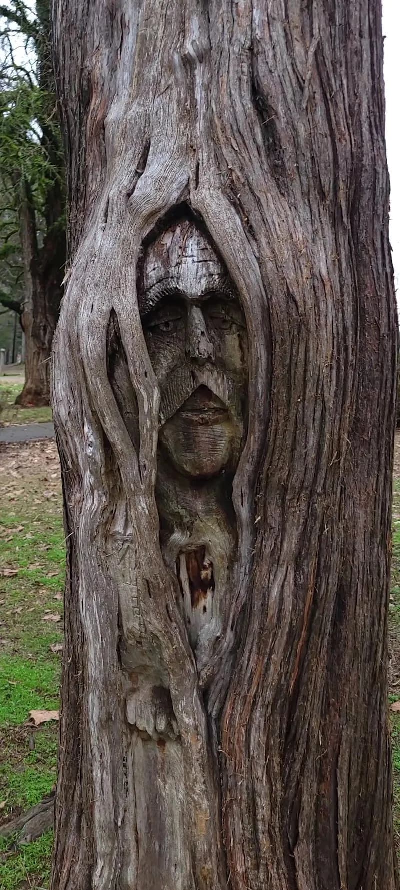 View of Montevallo Park & Recreation in West Blocton, AL