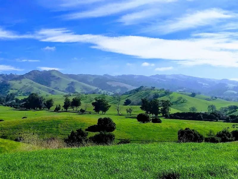 Montgomery Hill Park park in Evergreen, CA