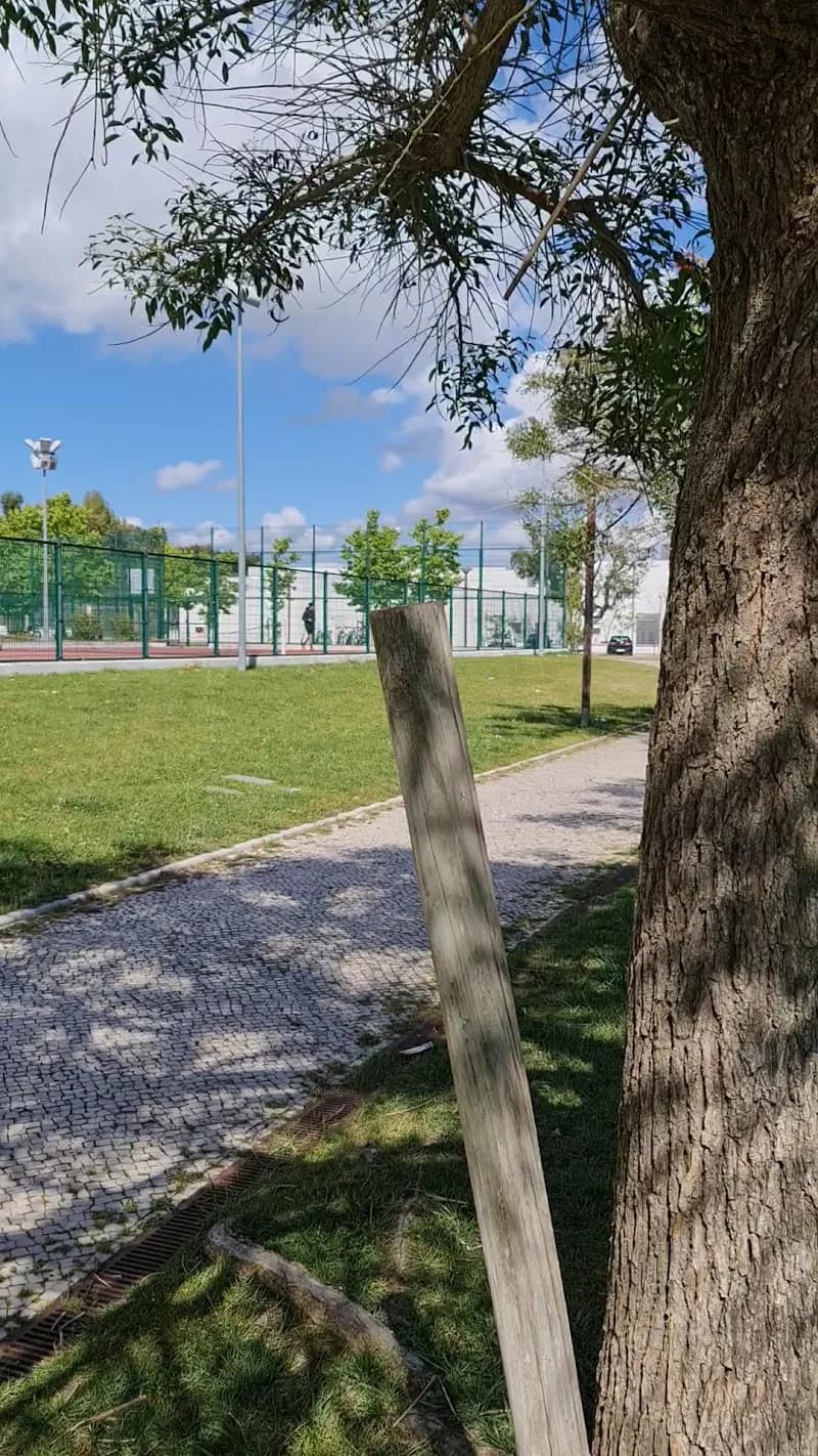 Montijo's Municipal Pool swimming pool in Montijo, Montijo